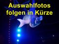 Z Auswahlfotos folgen